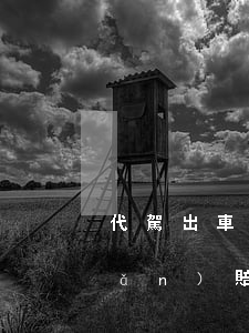 代駕出車禍如何進(jìn)行保險(xiǎn)賠償