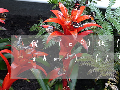 代駕責(zé)任險(xiǎn)該由誰(shuí)來(lái)賠