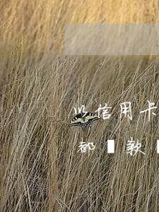 以信用卡逾期失信為由詐騙（信用卡逾期每月都還款構(gòu)成詐騙）