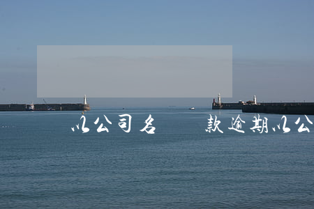 以公司名義貸款，逾期(以公司名義貸款,逾期)