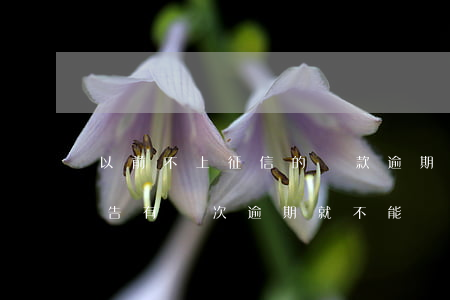 以前不上征信的貸款逾期(征信報(bào)告有幾次逾期就不能貸款了)