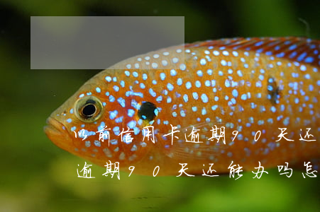以前信用卡逾期90天还能办吗(以前信用卡逾期90天还能办吗怎么办)