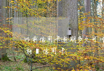以前信用卡逾期多久可以辦理(逾期以后多久能辦信用卡)