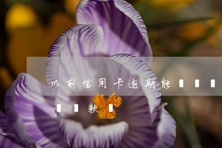 以前信用卡逾期能車貸嗎(信用卡逾期可以用車貸款嗎)