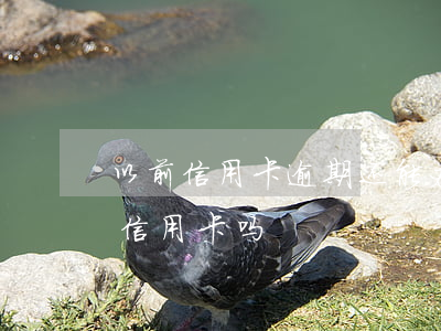 以前信用卡逾期还能办理吗(当前有逾期能办信用卡吗)