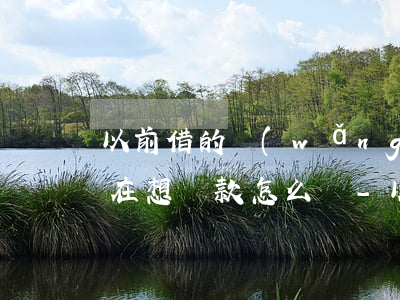 以前借的網(wǎng)貸現(xiàn)在想還款怎么還-以前借的網(wǎng)貸現(xiàn)在想還款怎么還呢