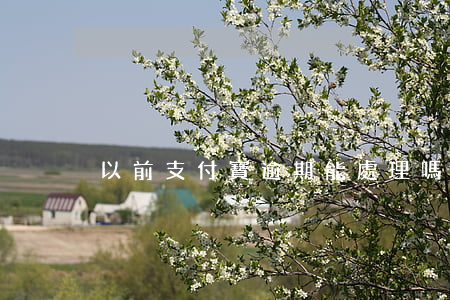 以前支付寶逾期能處理嗎-支付寶如果逾期