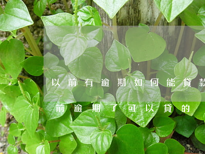 以前有逾期如何能貸款(有沒有什么貸款是以前逾期了可以貸的)