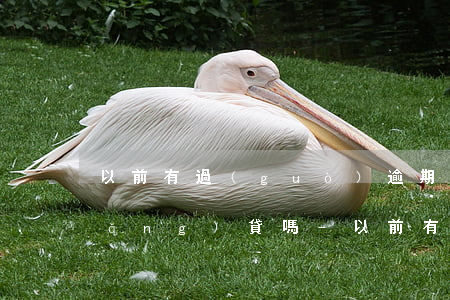 以前有過(guò)逾期記錄還可以網(wǎng)貸嗎-以前有過(guò)逾期記錄還可以網(wǎng)貸嗎知乎