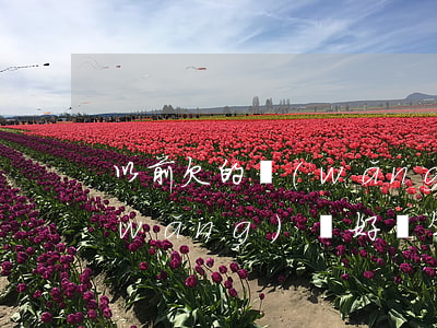 以前欠的網(wǎng)貸不用還了(欠網(wǎng)貸好幾年沒還了現(xiàn)在想還)