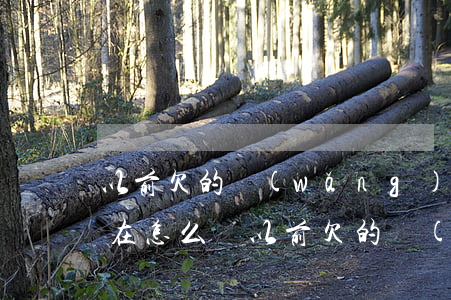 以前欠的網(wǎng)貸現(xiàn)在怎么還(以前欠的網(wǎng)貸現(xiàn)在怎么還)