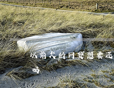 以前欠的网贷想要还(以前网贷没还还能网贷吗)