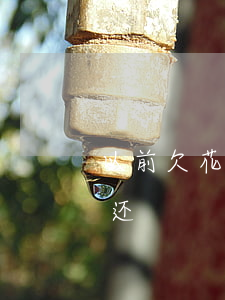 以前欠花呗的钱还用还吗(以前的花呗钱怎么还)