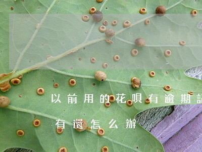 以前用的花唄有逾期記錄嗎-以前的花唄沒有還怎么辦?