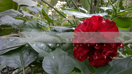 以前的借款現(xiàn)在打借條怎么寫(xiě)(現(xiàn)在正規(guī)借條怎樣寫(xiě))