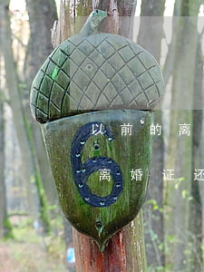 以前的离婚证还能复婚吗(离了婚复婚原来的离婚证还在吗)