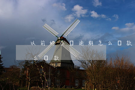 以前的花唄逾期怎么還款(以前的花唄逾期怎么還款)
