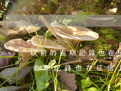 以前的逾期記錄也在征信上顯示嗎-以前的逾期記錄也在征信上顯示嗎怎么查