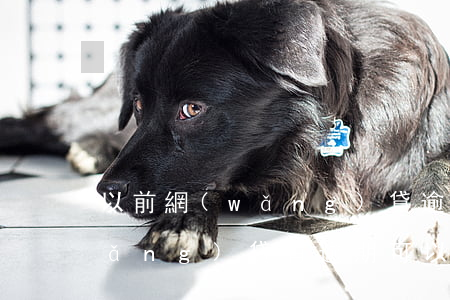 以前網(wǎng)貸逾期辦信用卡(網(wǎng)貸有逾期可以辦信用卡嗎?)