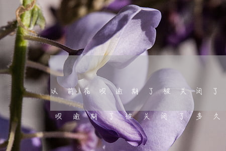 以前花呗逾期了,被关闭了多久开通-以前花呗逾期了,被关闭了多久开通借呗
