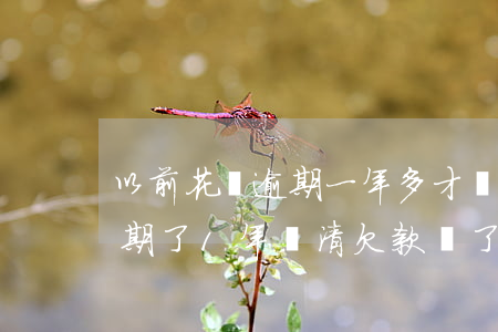 以前花唄逾期一年多才還清怎么辦-花唄逾期了1年還清欠款,過了1年怎么還沒有灰復(fù)