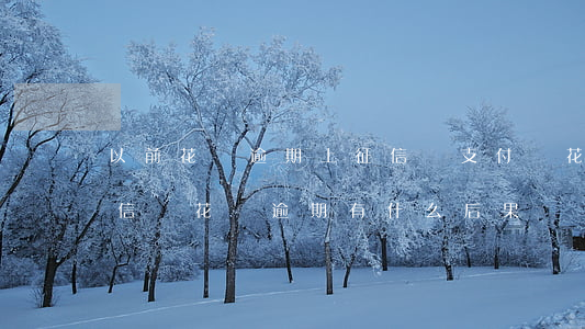 以前花唄逾期上征信嗎(支付寶花唄逾期上征信嗎?花唄逾期有什么后果)