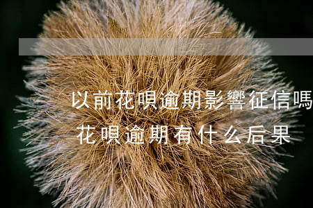 以前花唄逾期影響征信嗎(花唄逾期上征信嗎?花唄逾期有什么后果)