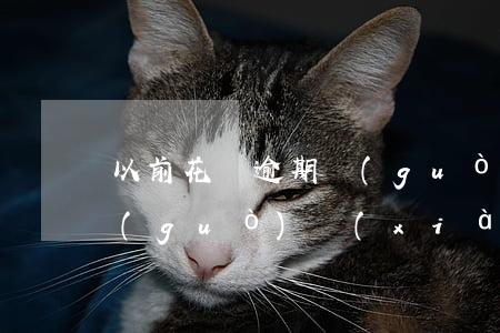 以前花唄逾期過(guò)(以前花唄逾期過(guò)現(xiàn)在能在網(wǎng)上借錢嗎)
