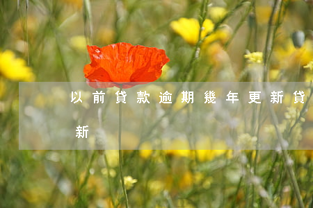 以前貸款逾期幾年更新(貸款當前逾期多久更新)
