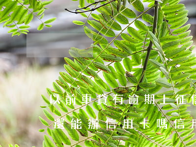 以前車貸有逾期上征信啦 現(xiàn)在還能辦信用卡嗎（信用卡逾期了車貸還可以換嗎）
