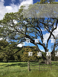 以前逾期過建行還能申請(qǐng)嗎(以前逾期過建行還能申請(qǐng)嗎貼吧)