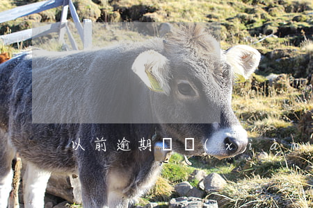 以前逾期過現(xiàn)在辦信用卡被拒