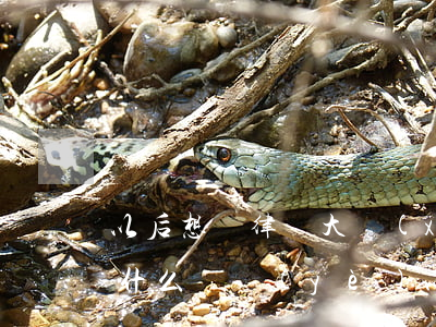 以后想當律師大學(xué)學(xué)什么專業(yè)(以后想當律師大學(xué)學(xué)什么專業(yè))