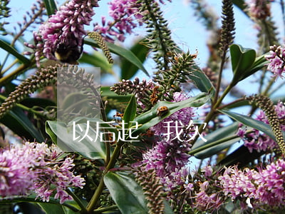 以后起訴我欠錢