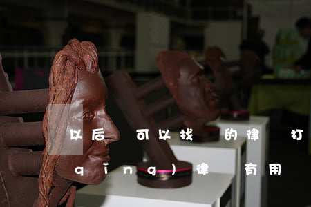 以后還可以找別的律師打官司嗎(打官司請(qǐng)律師有用嗎)