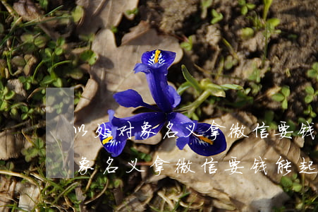 以处对象名义拿微信要钱能起诉吗-以处对象名义拿微信要钱能起诉吗