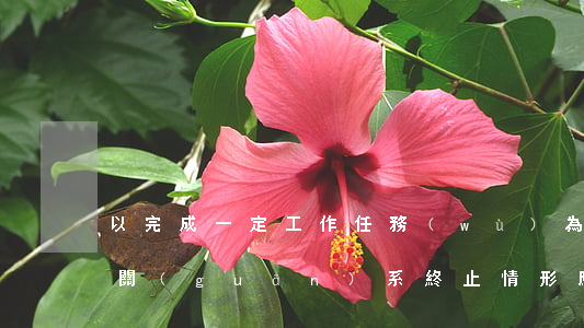 以完成一定工作任務(wù)為期限的勞動關(guān)系終止情形應(yīng)明確