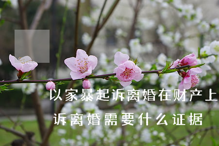 以家暴起诉离婚在财产上如何做(家暴怎么起诉离婚?需要什么证据)
