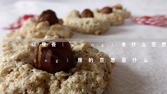 以房養(yǎng)老什么意思(以房養(yǎng)房的意思是什么)