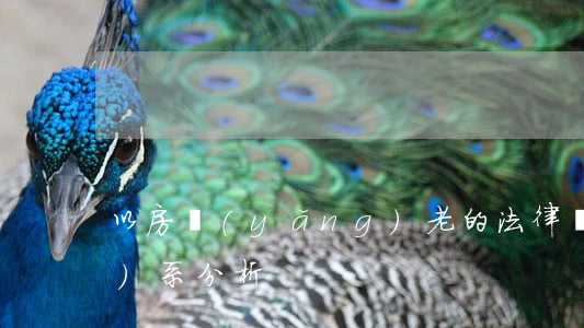 以房養(yǎng)老的法律關(guān)系分析