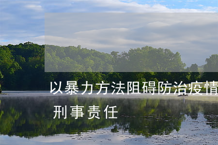 以暴力方法阻碍防治疫情工作的应承担哪些刑事责任