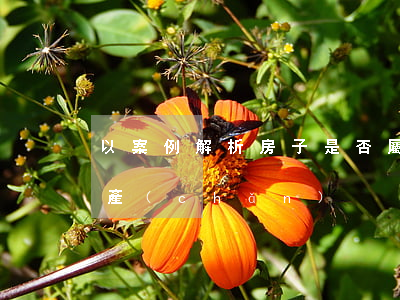 以案例解析房子是否屬于共同財(cái)產(chǎn)