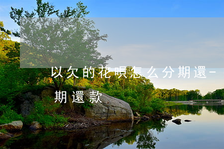以欠的花唄怎么分期還-以欠的花唄怎么分期還款