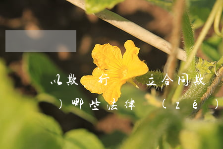 以欺詐行為訂立合同，欺詐方將承擔(dān)哪些法律責(zé)任