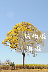 以物抵債可以直接由法院判決嗎(法院判決以物抵債的最新規(guī)定)