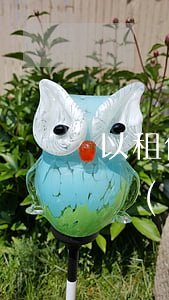 以租代購(gòu)逾期了車(chē)被開(kāi)走了