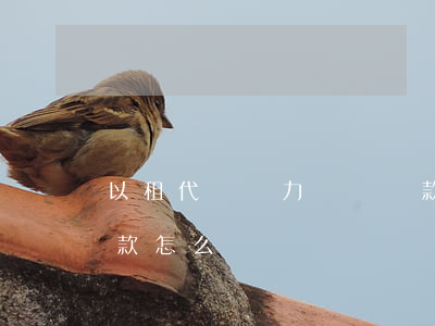 以租代購無力償還貸款(以租代購無力償還貸款怎么辦)