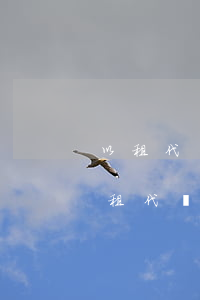 以租代購車沒有逾期被偷偷開走了怎么辦（以租代購車沒有逾期被偷偷開走）