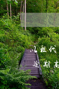 以租代購逾期高額違約金怎么辦-以租代購逾期高額違約金怎么辦理