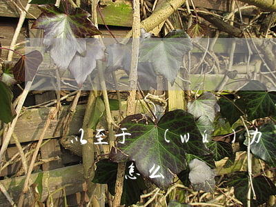 以至于無(wú)力償還(無(wú)力償還賠償怎么辦)